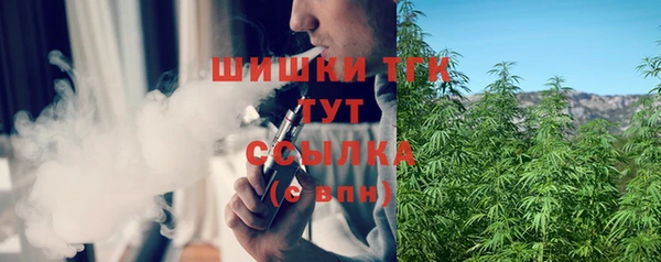 гашик Аркадак