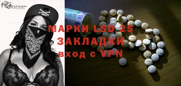 гашик Аркадак