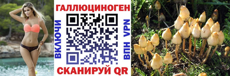 что такое   Бакал  Галлюциногенные грибы GOLDEN TEACHER 